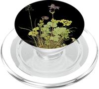 Pedazo de césped con el Columbine de Albrecht Durer (1526) PopSockets PopGrip para MagSafe