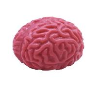 Pedes para presionar el Cerebro de Rebote Liso del Cerebro, Aterrador del Juguete contra el estrés | Órgano Esponjoso sobre el Tema del Horror, el Kit de Miedo para la Fiesta, la decoración del Aula,