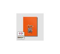 Pedido anticipado del primer lbum reempaquetado de Stray Kids IN in Life Standard Ver A Type, CD, libro de fotos, set de tarjetas fotogr ficas