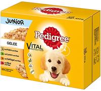 Pedigree Comida húmeda para perros junior para cachorros, selección en gelatina, 12 bolsas de porciones (12 x 100 g)