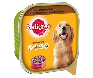 Pedigree Comida para Perro con Pavo y Pollo en paté, Bandeja 300 g - 20 bandejas