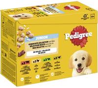 Pedigree DOGCARE Wet (Mixed) Chunks in Jelly Junior 100G Multipack Standard 12x100g