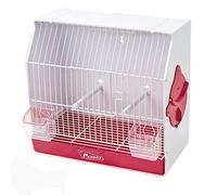 Pedros Jaula Concurso Curiosa, Blanco, 1 Unidad (Paquete de 1)