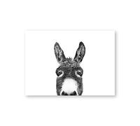 Peekaboo Animal cara burro pared arte lienzo carteles impresiones granja fotografía pintura moderna pared imagen, para decoración de habitación de niños Sin marco (Size : 20x30 cm No Frame)