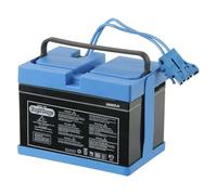 Peg Perego - Batería de 12 V 12 V, 12 Ah