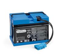 PEG Batería 12V/12Ah - Repuesto Original Recargable para Vehículos Eléctricos Peg Perego