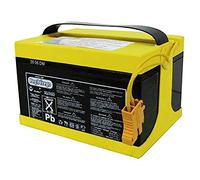 Batería Vehículos Eléctricos 24v-8Batteria Peg Perego 24v-8Ah K