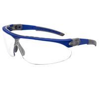 Pegaso 835.73.100 Gafas de Protección, Azul y Gris, L