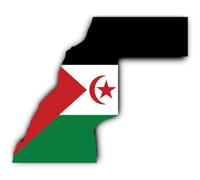 Pegatina de 300 mm, 1 unidad, diseño de la bandera del Sáhara Occidental, EH, para coche, ordenador portátil y más