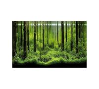 Pegatina de Bosque for Fondo Acuario, póster Decorativo for Pared pecera, paisajismo, Selva Tropical, terrario(GREEN1,50x90cm)