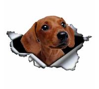 Pegatina de perro salchicha, diseño 3D efecto rasgón, resistente al agua, para decoración de coche y casa (18 cm)