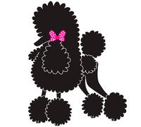 Pegatina decorativa raza Caniche (Elegante) de GogiPet, negra - Resistente a los rayos UV