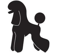 Pegatina decorativa raza Caniche (Teddy Bear) de GogiPet, negra - Resistente a los rayos UV