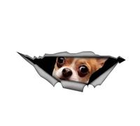 Pegatina para el coche Chihuahua 15 cm (5,9 pulgadas) Chihuahua Pegatinas reflectantes 3D rasgadas pegatinas para el coche Personalizar Divertido Pegatinas Chihuahua Perro Peeking Car Sticker