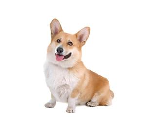 Pegatina para el coche Corgi 15 cm (5,9 pulgadas) Lindo Corgi Pegatinas reflectantes 3D Mascota Perro Divertido Adhesivo para Coche Lindo Corgi Dog Car Sticker Laptop Parachoques Ventana Coche