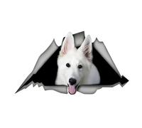 Pegatina para el coche de 22 cm, pastor alemán blanco, pastor alemán, pegatinas rasgadas, pegatinas para mascotas, perros, pegatinas reflectantes impermeables para parachoques, decoraciones para luna