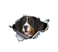 Pegatina para el coche de 25 cm (9,8 pulgadas) Bernés perro de montaña pegatinas divertidas Bernese perro de montaña coche pegatina de perro de montaña bernés perro impermeable pegatinas