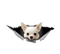 Pegatina para el coche de 25 cm (9,8 pulgadas) Chihuahua Personalizar Pegatinas Divertidas Mascotas Perro Impermeable Blanco Chihuahua 3D Rasgado Metal Pegatinas Reflectantes Parachoques Decoración