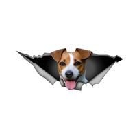 Pegatina para el coche de 25 cm (9,8 pulgadas) Jack Russell Terrier Pegatinas divertidas Jack Russell Terrier Car Sticker Pet Dog Impermeable Pegatinas 3D Rasgado Metal Reflectante Pegatinas