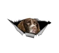 Pegatina para el coche de 25 cm (9,8 pulgadas) Springer Spaniel Pegatinas divertidas para coches de saltador spaniel marrón Springer Spaniel perro pegatinas impermeables personalizadas 3D rasgadas