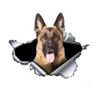 Pegatina para el coche de 25 cm Pastor Alemán Pastor Alemán Pegatinas para Coche Mascota Perro Rasgado Pegatina Impermeable Reflectante Autoadhesivo Parachoques Decoración de la luna trasera D26006#