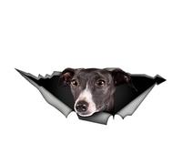 Pegatina para el coche de un galgo de 15 cm (5,9 pulgadas) Galgo pegatinas reflectantes 3D rasgadas pegatinas para el coche personalizadas mascotas perro divertido Galgo Hound Car Sticker Divertido