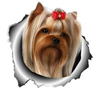 Pegatina para el coche, diseño de Yorkshire Terrier, bonito perro doméstico, 15 cm, Yorkshire Terrier 3D, rasgado, reflectante, impermeable, para portátil, parachoques, luna trasera