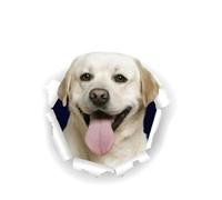 Pegatina para el coche Labrador 15 cm (5,9 pulgadas) Blanco Labrador Pegatinas reflectantes Mascota Perro Divertido 3D Rasgado Autoadhesivo Blanco Labrador Car Sticker Personalizar Decoración