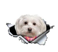Pegatina para el coche, pegatina maltesa de 15 cm (5,9 pulgadas), maltés con lazo rosa, pegatinas reflectantes 3D desgarradas para el coche, pegatinas divertidas para mascotas, perros, pegatinas