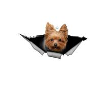 Pegatina para el coche Yorkshire Terrier 15 cm (5,9 pulgadas) Yorkshire Terrier Pegatinas reflectantes 3D rasgadas pegatinas para coche mascota perro divertido pegatina portátil parachoques decoración