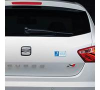 Pegatina vinilo no todas las minusvalias son visibles 10x4,5cm vinilo impreso