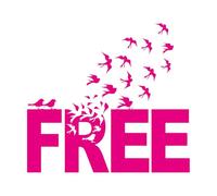 Pegatinas artísticas de vinilo Cita inspiradora de una bandada de pájaros. 54x59.1cm No se cae Rosa roja