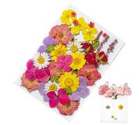 Pegatinas Botánicas Prensadas: Juego De Flores Naturales, Etiquetas De Fabricación Vintage | Elegante Paquete De Floración Seca Para El Cabello, Arte De Uñas, Estuche Para Teléfono, Tarifa Hecha A Man