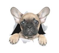 Pegatinas de Bulldog Francés, diseño 3D de avance, resistentes al agua, pegatinas reflectantes para ordenador portátil, frigorífico, coche, parachoques y ventana (15 cm)