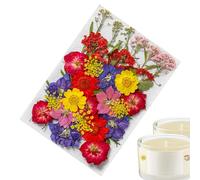 Pegatinas De Flores Secas | 35 Pegatinas Botánicas Estéticas, Pegatinas De Scrapbooking Real Y Natural, Suministros De Scrapbooking Para Planificador Portátil