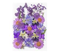 Pegatinas de flores secas - 35 pegatinas de planntes botánicos, pegatinas de scrapbooking para diario | Exquisitos adhesivos de flores secas, suministros de artesanía y decoración