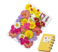 Pegatinas De Flores Secas - 35 Piezas De Flores Prensadas Secas | Hojas Florales Para Manualidades De Bricolaje | Pegatinas De Plantas Botánicas ? Pegatinas De Plantas Para Llevar Un Diario | Pegatina