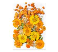 Pegatinas de flores secas para diario - 35 piezas para planificador botánico, adhesivos, ligeros, estéticos, para diario, scrapbooking, planificador, portátil, decoración
