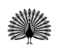 Pegatinas de grabado silueta de un pavo real mostrando sus plumas contra un 41x49.6cm No se cae Negro