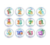 Pegatinas de hito de bebé bebé Baby Monthly stickers hito tarjetas recién nacidos fotografía fondo foto prop pegatinas mensuales accesorios de fotografía para bebé foto recuerdo dinosaurio