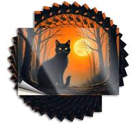 Pegatinas de mecánico, un gato negro se sienta en un bosque espeluznante con una luna llena brillando. 10 calcomanías divertidas con alcohol para dormitorio (8 x 12 cm)
