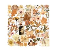 Pegatinas de plantas - 50 piezas de hojas secas de flores para teléfono, calcomanías de cuenta de mano, función de fácil aplicación para artistas, diseñadores, planificadores, periodistas