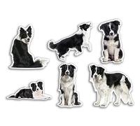 Pegatinas de vinilo Border Collie de 6 x 10 cm, diseño divertido de perros, cachorros, animales, naturaleza, mascotas, cara, niñas salvajes, niños, viajes, álbumes de recortes #80810
