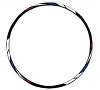 Pegatinas Decorativas Accesorios para Motocicleta, Pegatina para Rueda, Cinta De Llanta, Calcomanías Impermeables para Ducati Monster V2 V4 797 821(Blue Red White)