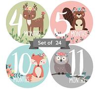 Pegatinas mensuales para bebé | Pegatinas de hito de animales del bosque | Pegatinas para niñas recién nacidas | Pegatinas de mes floral para bebé niña | Pegatinas de bebé niña | Pegatinas de hito