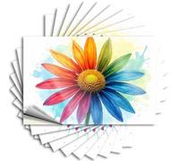 Pegatinas para caja de herramientas, diseño de flor de arco iris: una colorida floración, 10 calcomanías divertidas para coche (6 x 9 cm)