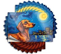 Pegatinas para caja de herramientas, noche estrellada con un perro salchicha, 10 calcomanías divertidas para coche (12 x 18 cm)