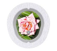 Pegatinas para Dexcom G7 Sensor 2 x Rose myDili Diabetes Accesorios