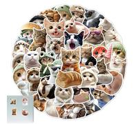 Pegatinas para gatos, lindas pegatinas de gato, pegatinas de gato meme, calcomanías estéticas, suministros para fiestas para botellas de agua, portátiles, equipaje de teléfono, guitarra, papel de