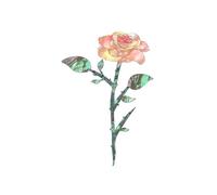 Pegatinas para guitarras, pegatinas para guitarras, placas de cabeza, pegatinas para guitarras, cejillas, guitarras, placas de cabeza, pegatinas incrustadas